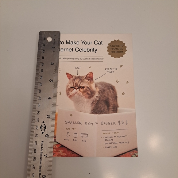 How to Make Your Cat an Internet Celebrity : by Patricia Carlin book - Picture 5 of 6